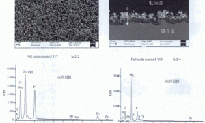 AZ31B镁合金表面磷化/阴极电泳复合涂层耐蚀性能研究