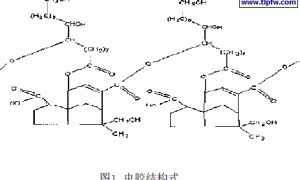 丙二胺改性虫胶涂料用于铜表面防腐蚀性能的研究