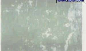 外墙乳胶涂料工程案例分析