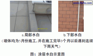 真石漆墙面“泛白”的弊病分析与解决办法——乳液篇