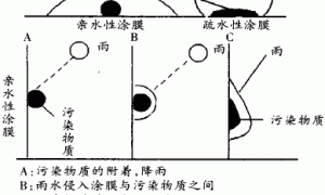 单层耐沾污弹性涂料的研制