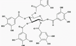 鞣酸改性紫外光固化金属罩光涂料的研制