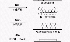 双组分水性环氧涂料固化成膜机理探讨