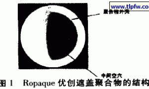 Ropaque优创遮盖聚合物