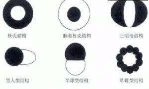 NO-VOC 乳胶涂料的研究进展