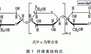 纤维素醚对真石漆耐水白性能的研究