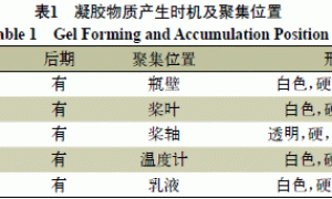 羟丙乳液聚合过程凝胶物质的研究