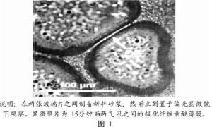 聚合物粉末改性瓷砖胶在新拌和硬化状态下微结构的特性