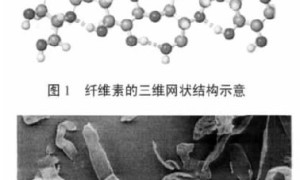 木质纤维在新拌水泥基瓷砖胶粘剂中的应用研究