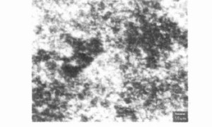 多孔结构的微尺度SiO2制备及其在塑料涂料中的应用